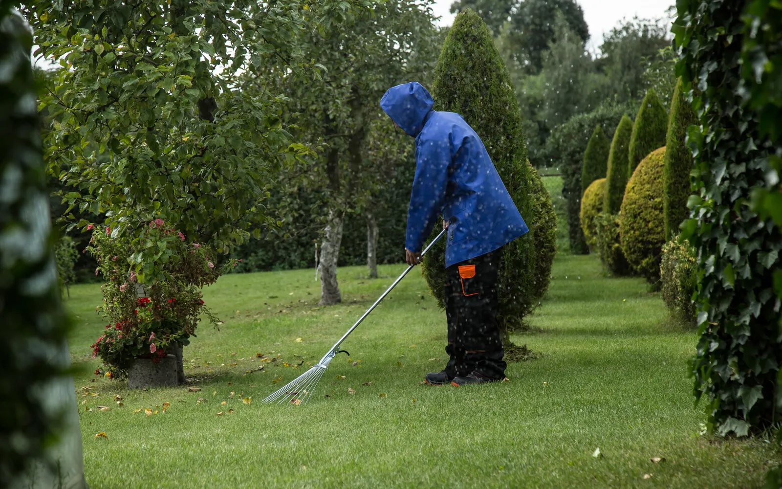 Raking av løv i en grønn park i regnvær
